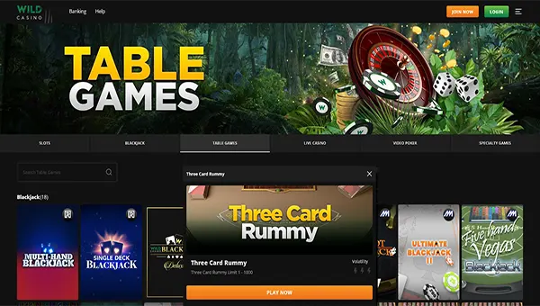 Wild Casino homepage image