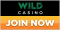 Wild Casino image